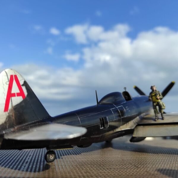 AA29
